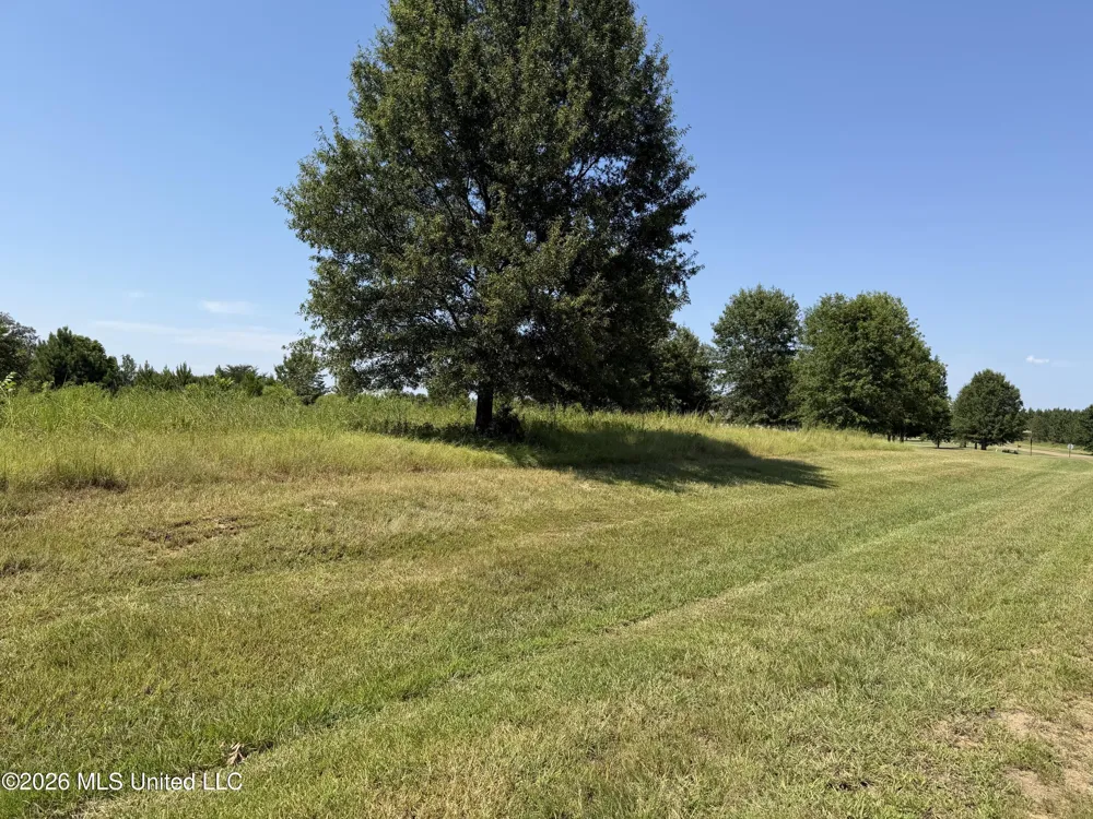 Windermere Boulevard Madison, MS 39110