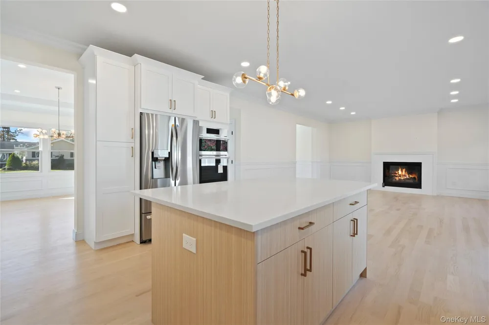 5 Steuben Drive Jericho, NY 11753