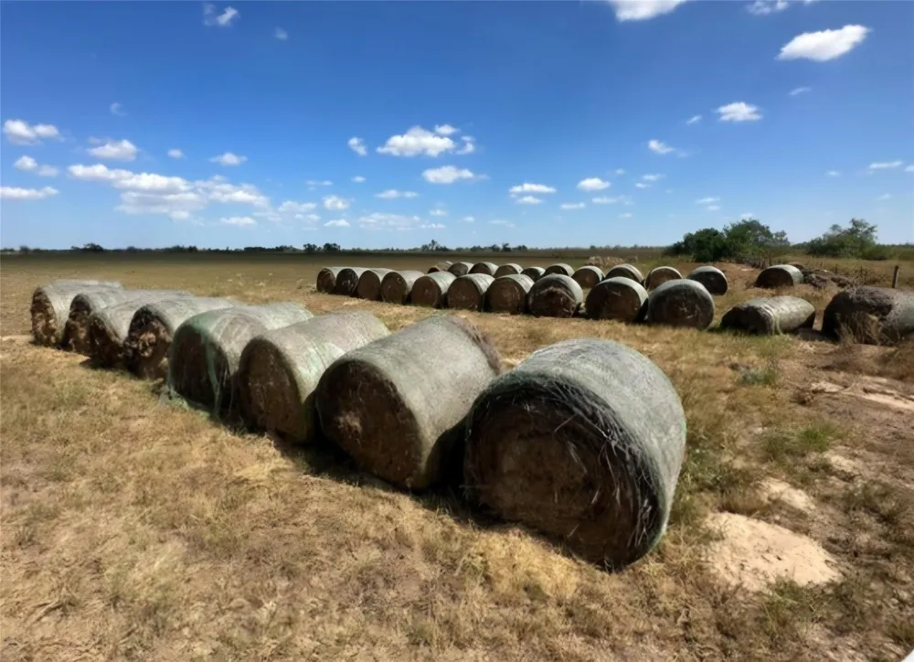 S Hwy 281 Encino, TX 78353