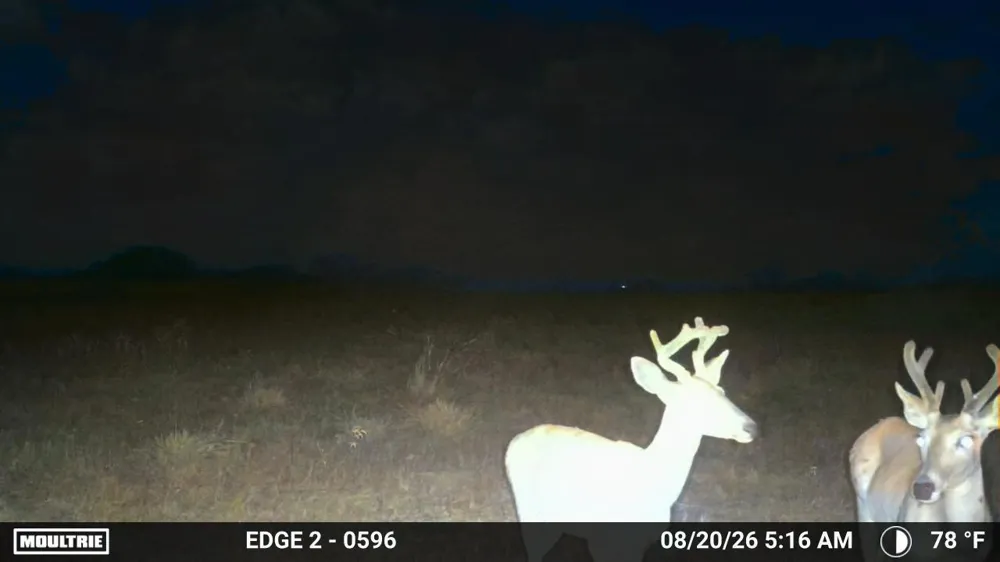 S Hwy 281 Encino, TX 78353