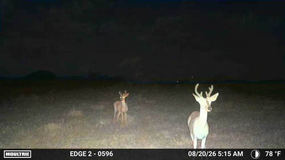 S Hwy 281 Encino, TX 78353