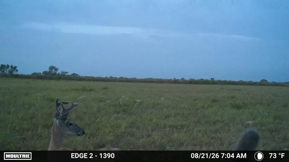 S Hwy 281 Encino, TX 78353