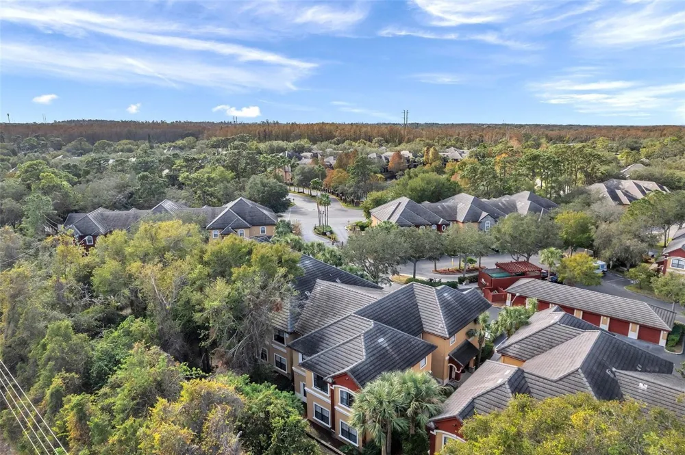 2279 PORTOFINO PLACE #20-202 Palm Harbor, FL 34683