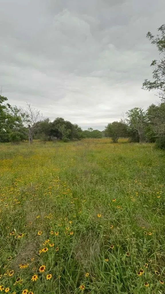 Tbd Columbus, TX 78934