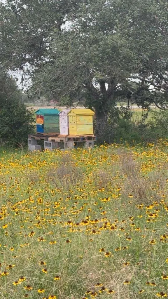Tbd Columbus, TX 78934