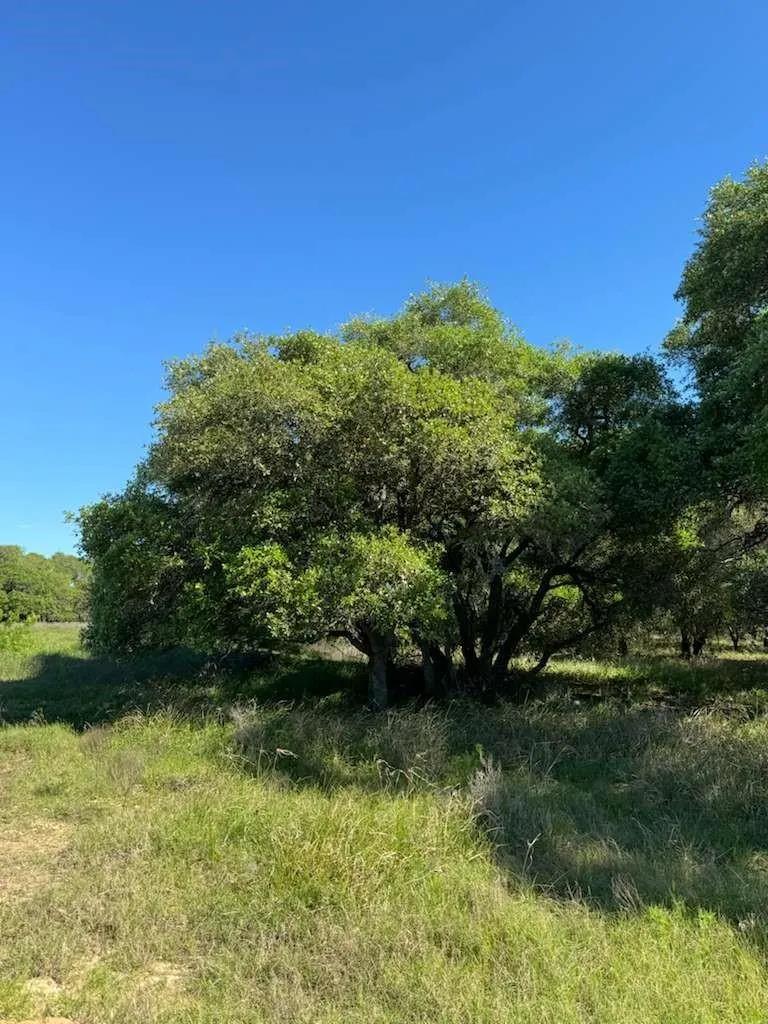 Tbd Columbus, TX 78934