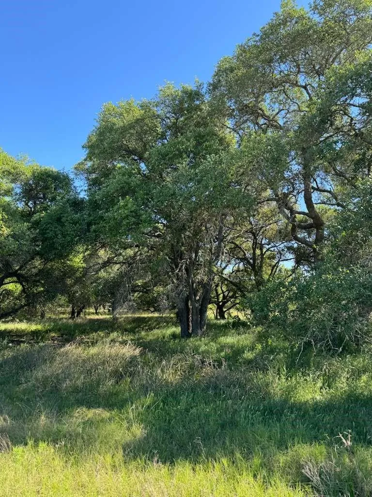 Tbd Columbus, TX 78934