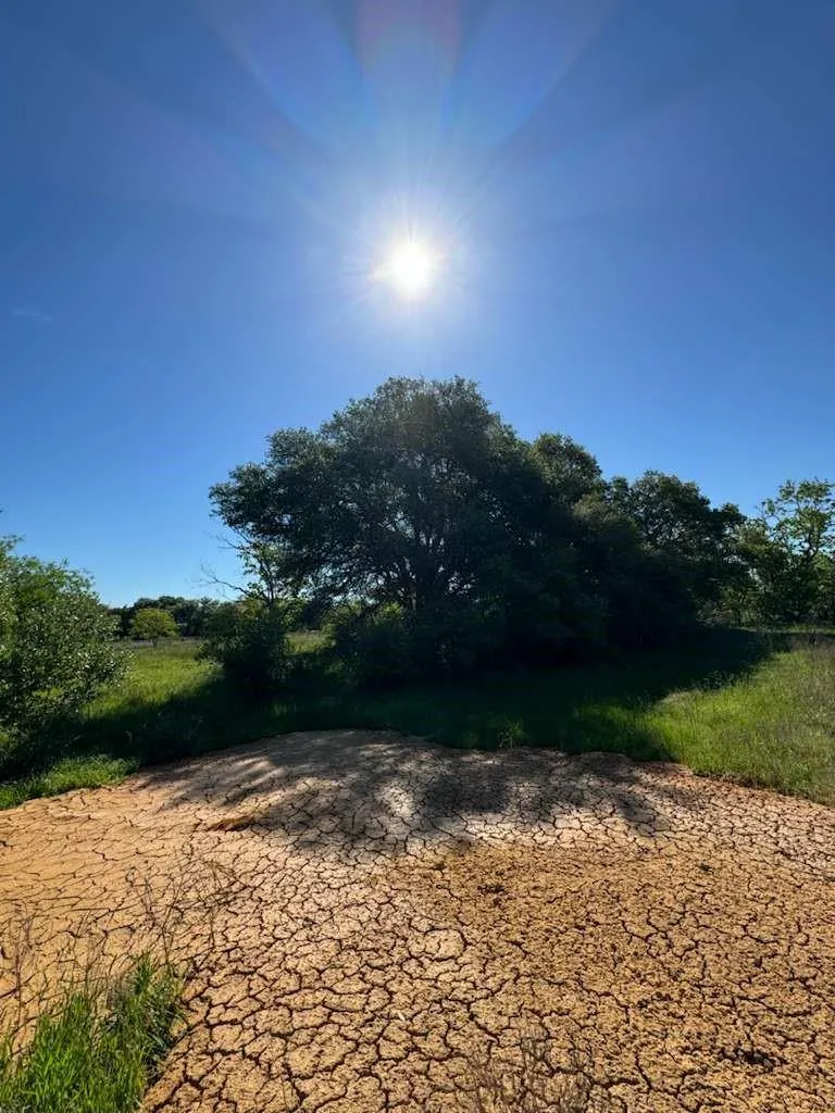 Tbd Columbus, TX 78934