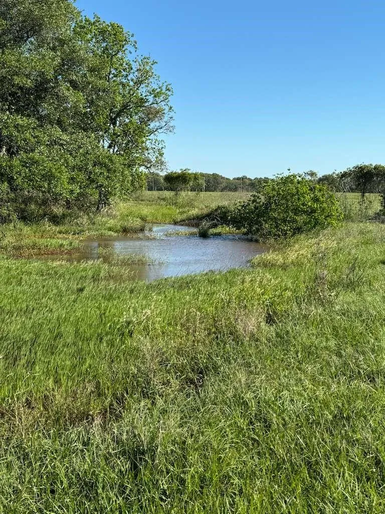 Tbd Columbus, TX 78934