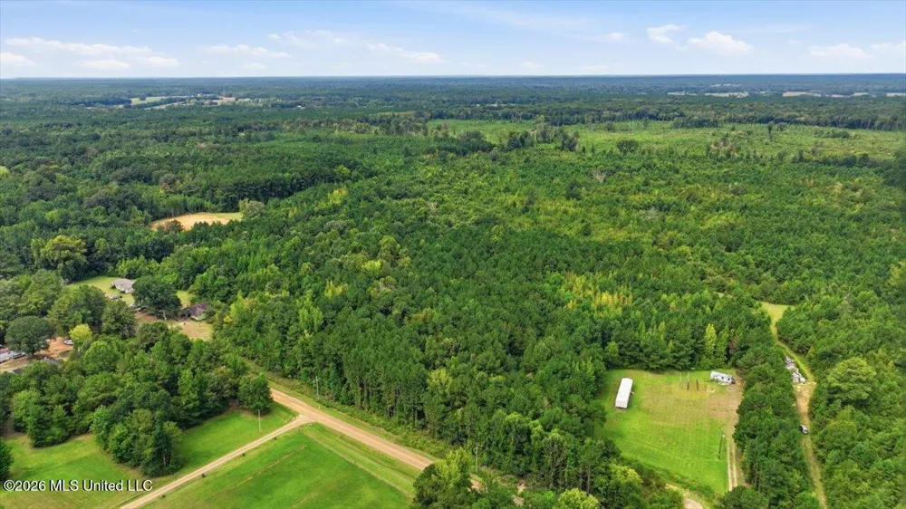 Lot 1 Lottville Road Canton, MS 39046