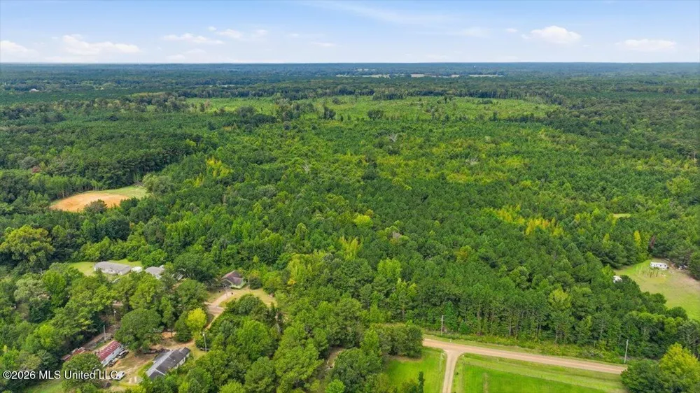 Lot 1 Lottville Road Canton, MS 39046