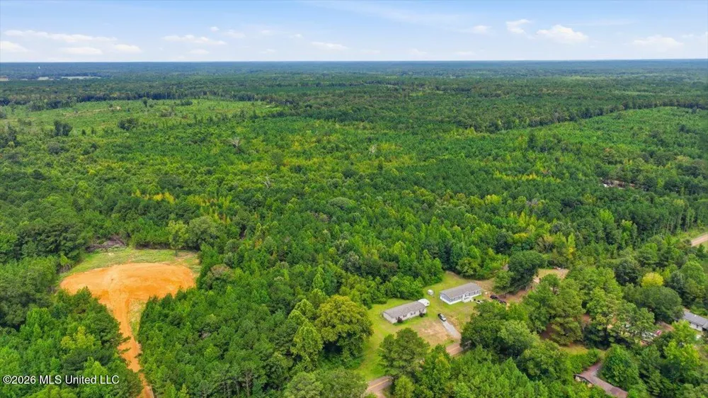 Lot 1 Lottville Road Canton, MS 39046
