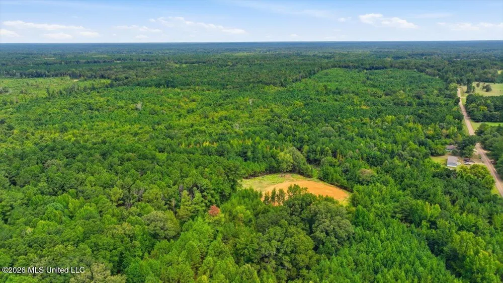 Lot 1 Lottville Road Canton, MS 39046