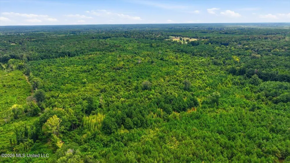 Lot 1 Lottville Road Canton, MS 39046