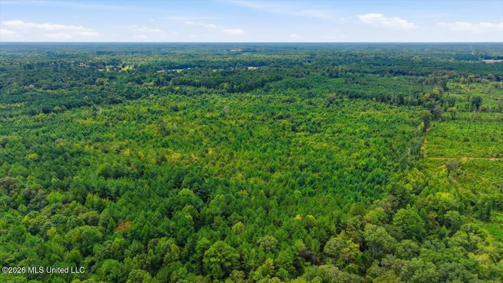 Lot 1 Lottville Road Canton, MS 39046