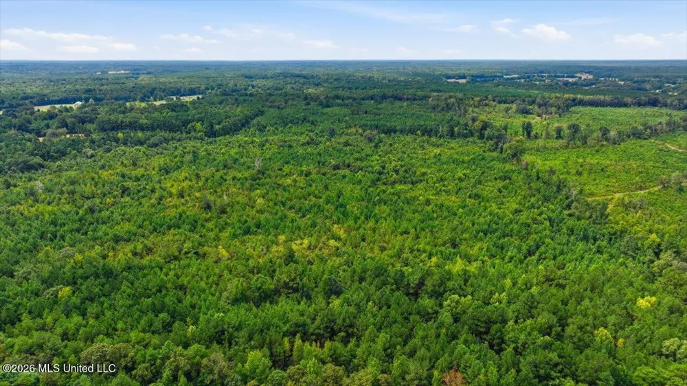Lot 1 Lottville Road Canton, MS 39046
