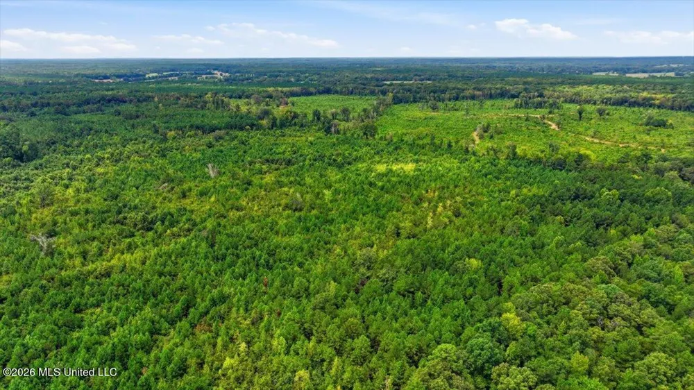 Lot 1 Lottville Road Canton, MS 39046