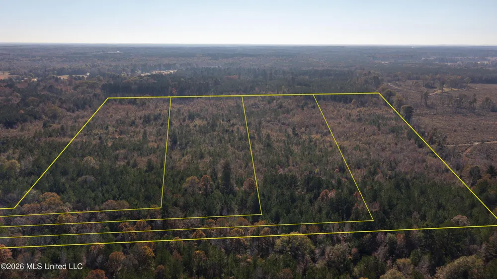 Lot 1 Lottville Road Canton, MS 39046