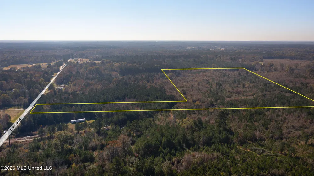 Lot 1 Lottville Road Canton, MS 39046