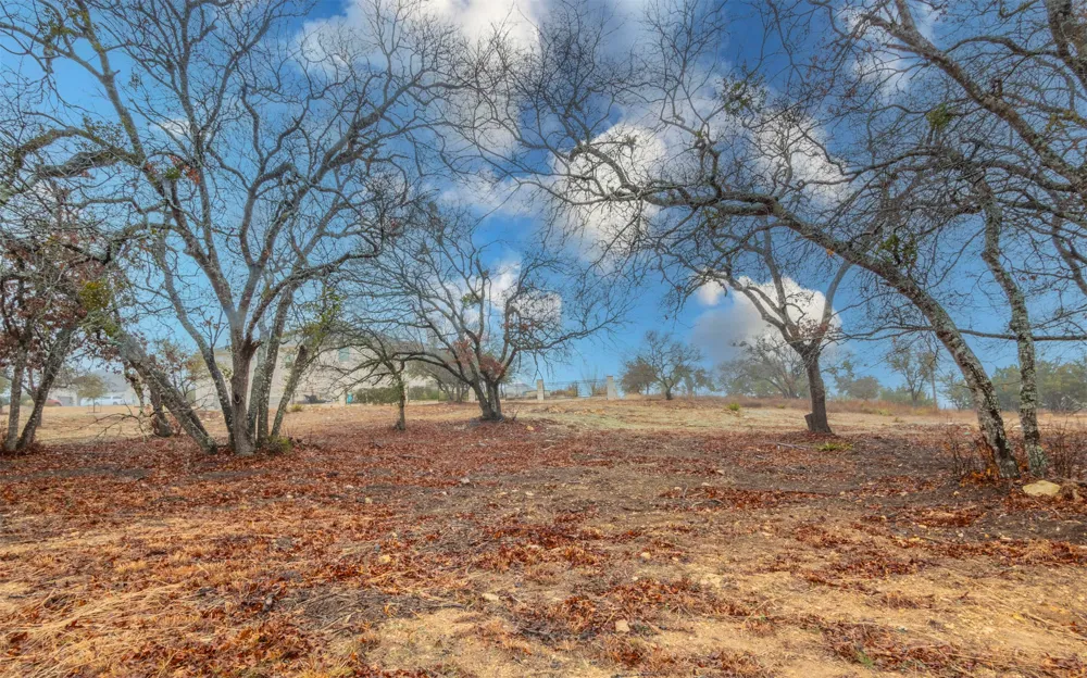 452 Ocate Mesa Trail Liberty Hill, TX 78642