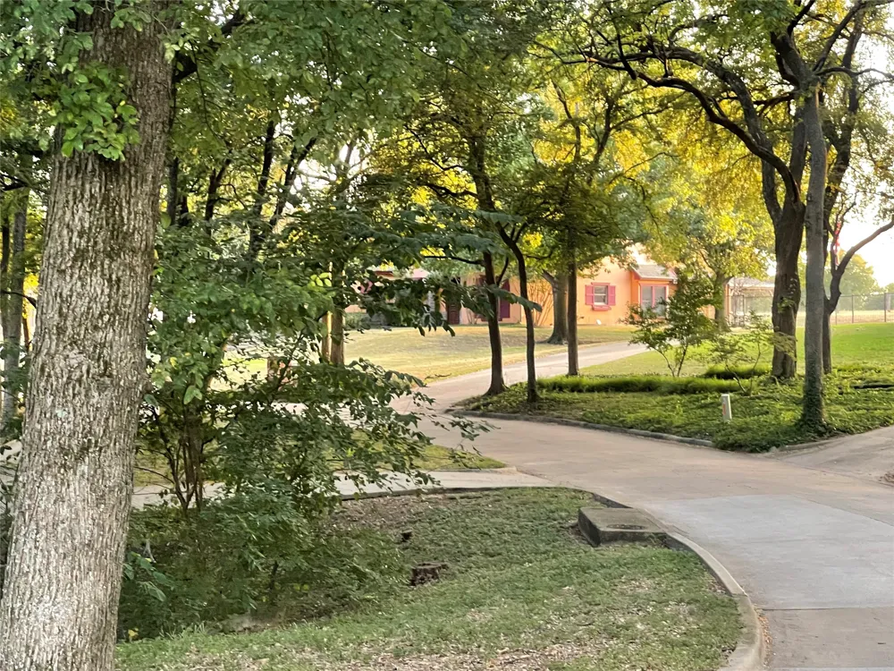 203 Covey Lane McKinney, TX 75071