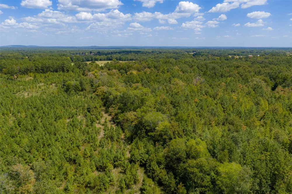 County Road 1207 Rusk, TX 75785