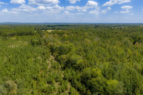 County Road 1207