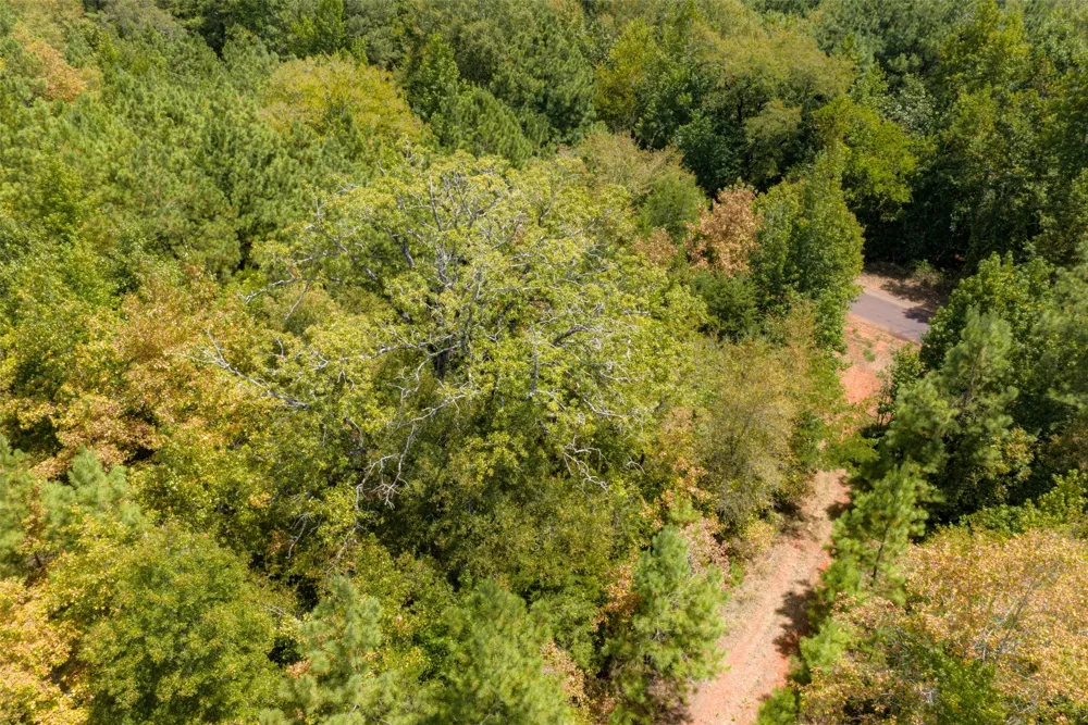County Road 1207 Rusk, TX 75785