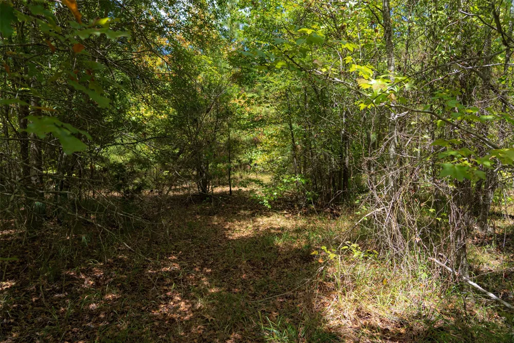 County Road 1207 Rusk, TX 75785