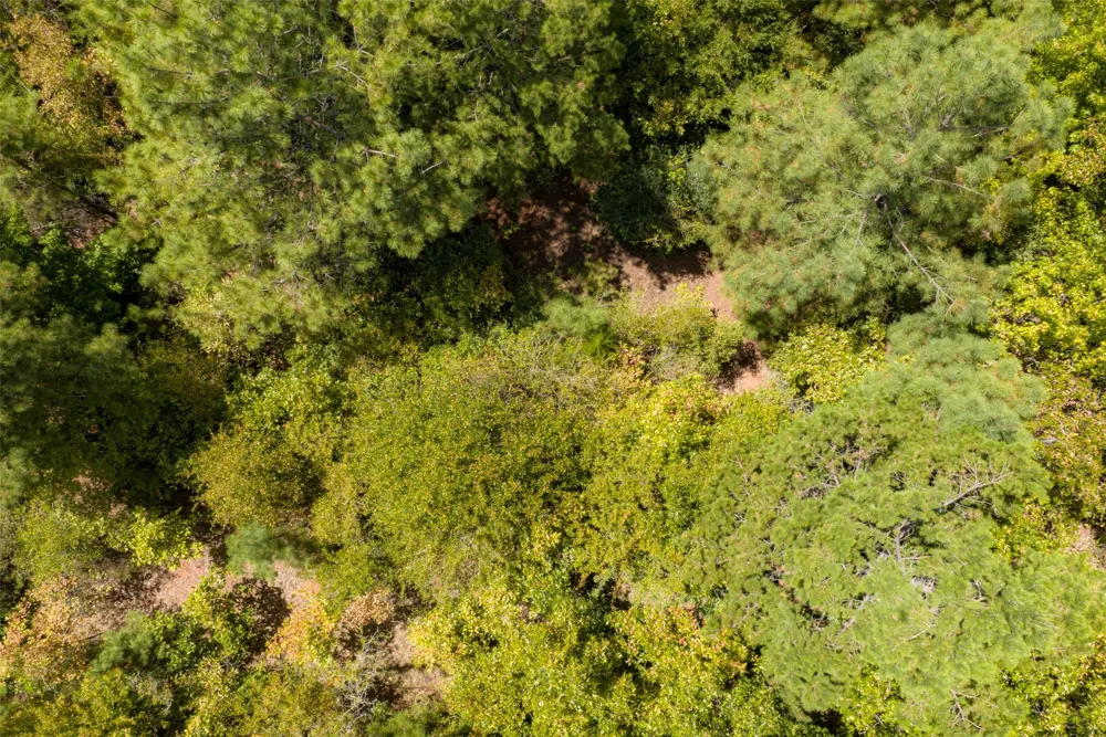 County Road 1207 Rusk, TX 75785