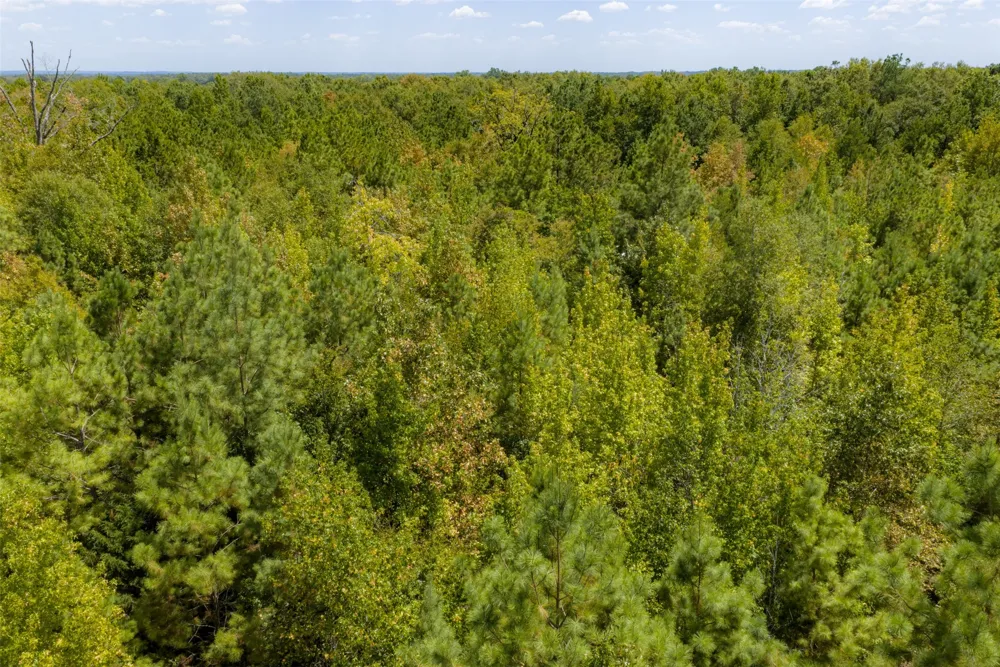 County Road 1207 Rusk, TX 75785