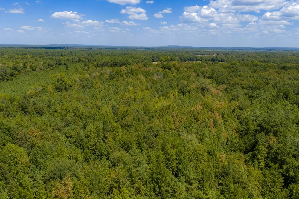 County Road 1207 Rusk, TX 75785