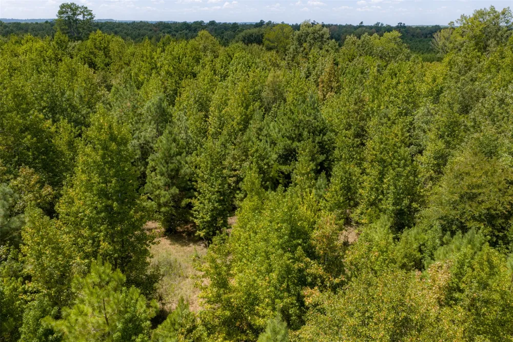 County Road 1207 Rusk, TX 75785