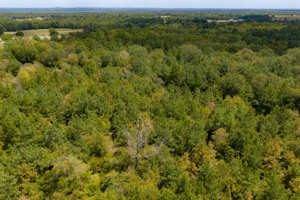 County Road 1207 Rusk, TX 75785