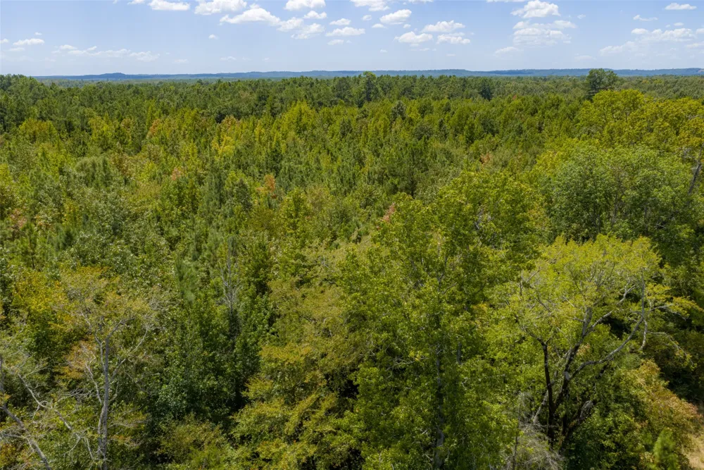 County Road 1207 Rusk, TX 75785