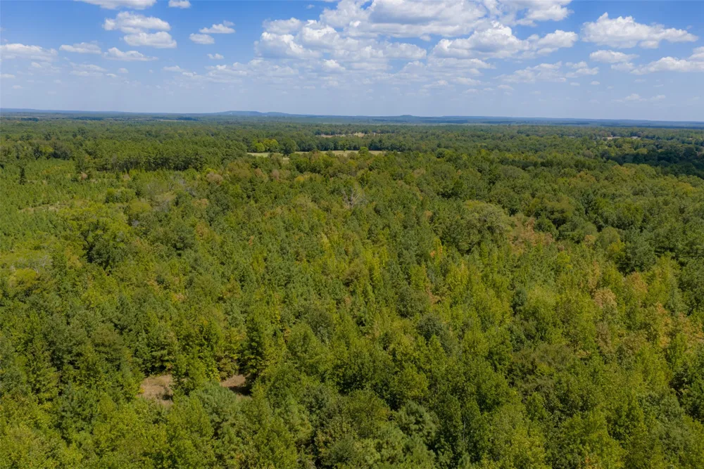 County Road 1207 Rusk, TX 75785