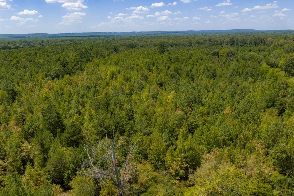 County Road 1207 Rusk, TX 75785