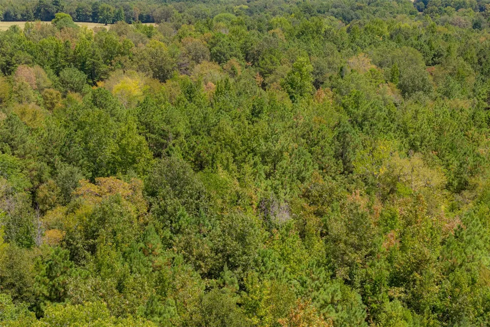 County Road 1207 Rusk, TX 75785