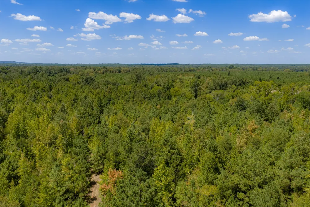 County Road 1207 Rusk, TX 75785