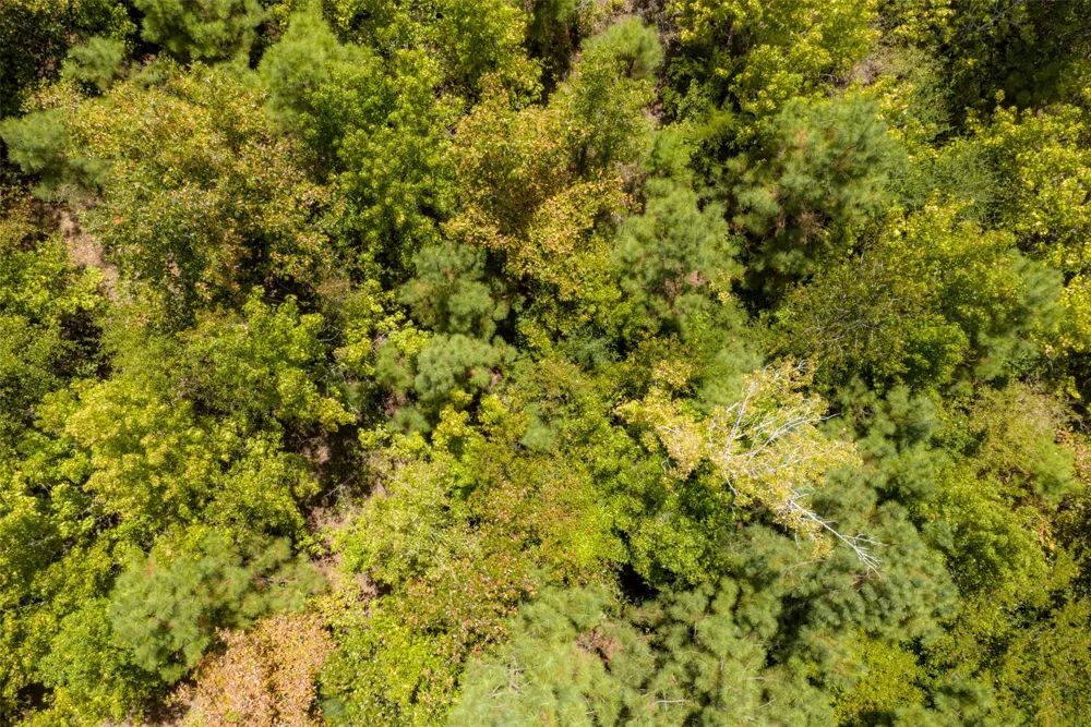 County Road 1207 Rusk, TX 75785