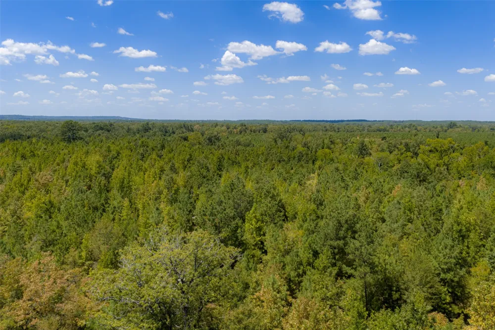 County Road 1207 Rusk, TX 75785