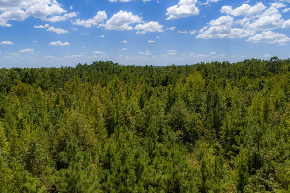 County Road 1207 Rusk, TX 75785