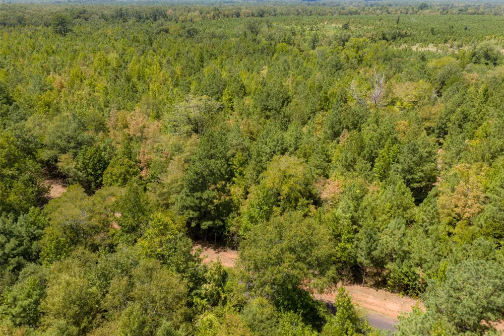 County Road 1207 Rusk, TX 75785