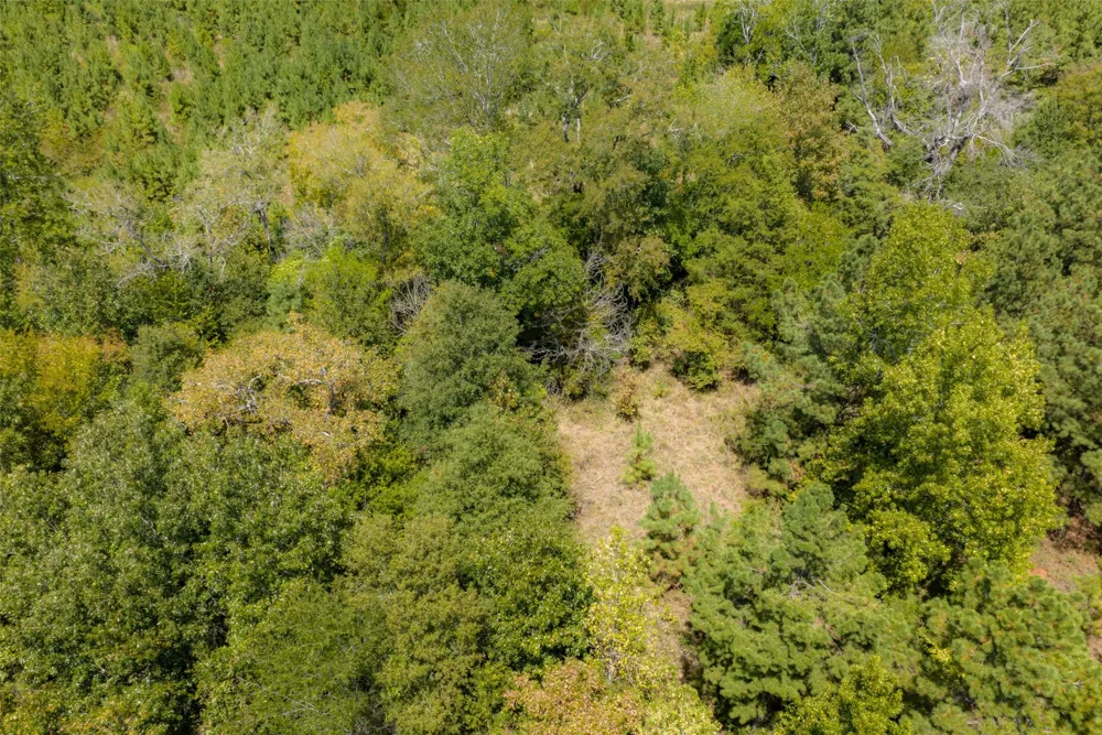 County Road 1207 Rusk, TX 75785