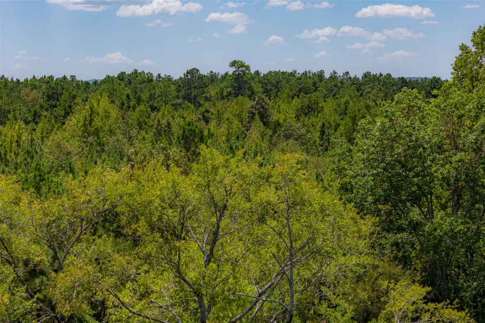 County Road 1207 Rusk, TX 75785