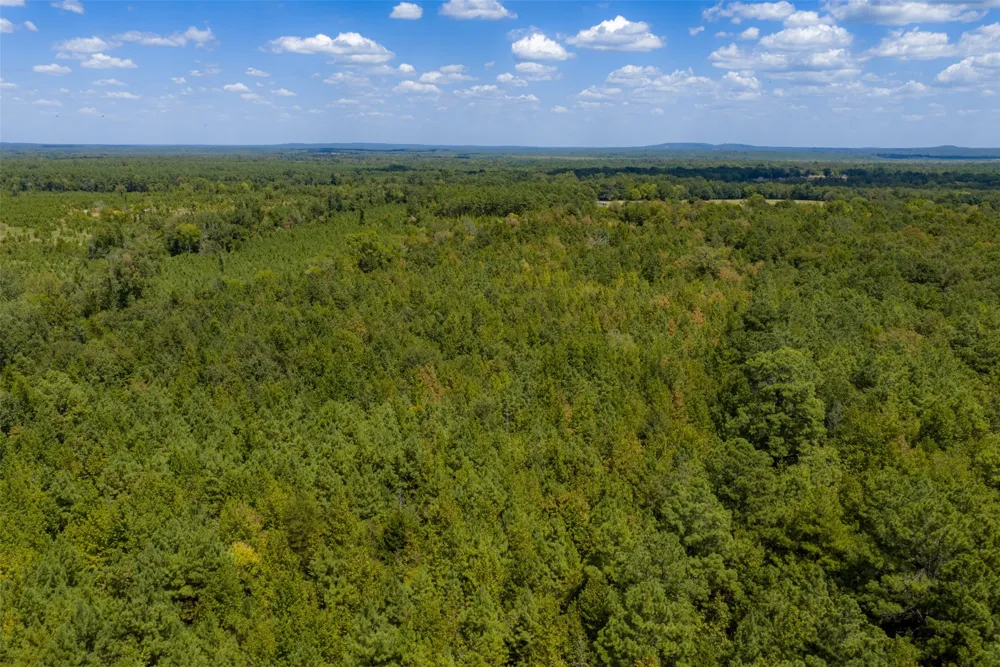 County Road 1207 Rusk, TX 75785