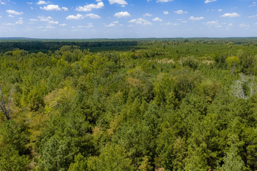 County Road 1207 Rusk, TX 75785