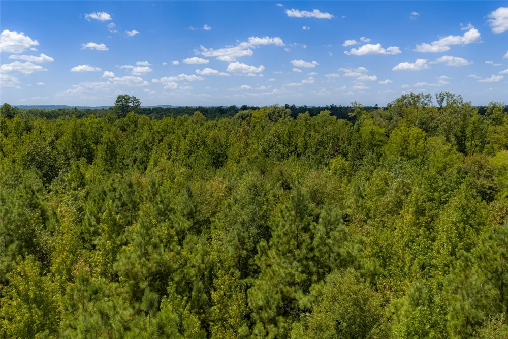 County Road 1207 Rusk, TX 75785