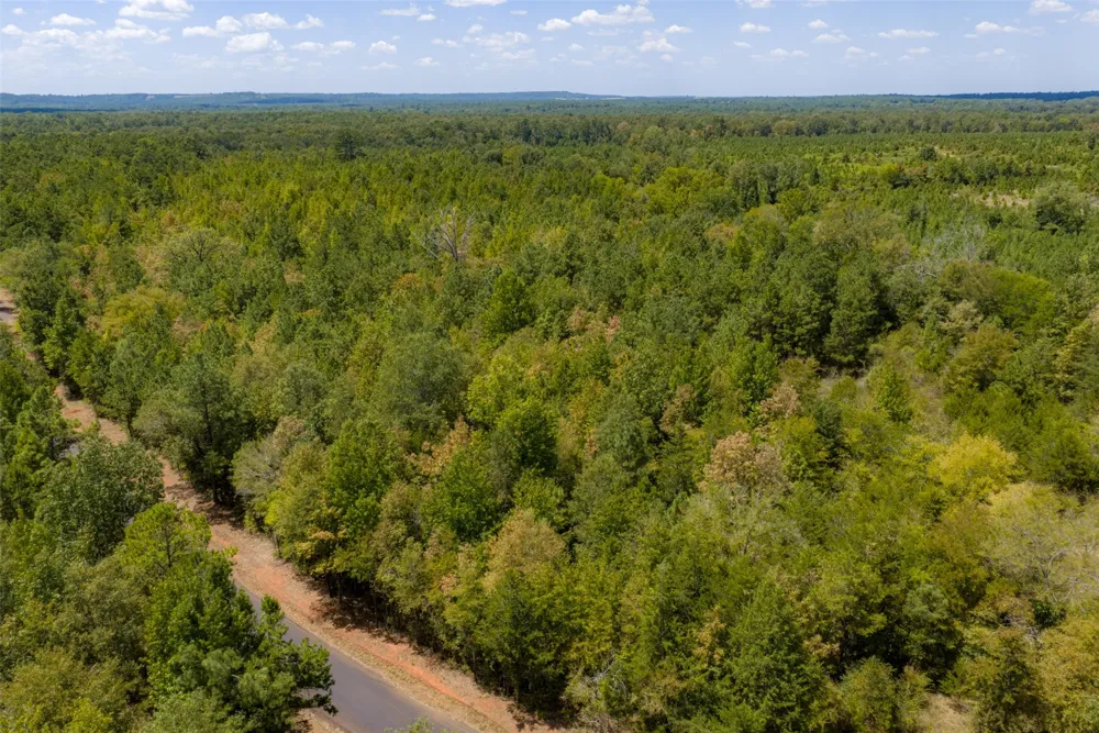 County Road 1207 Rusk, TX 75785