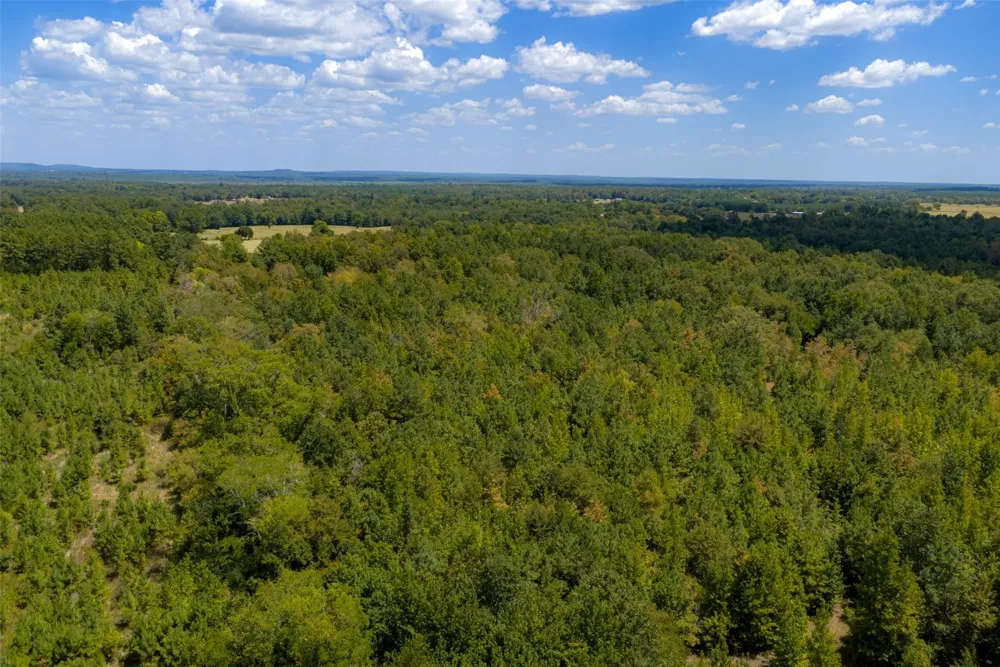 County Road 1207 Rusk, TX 75785